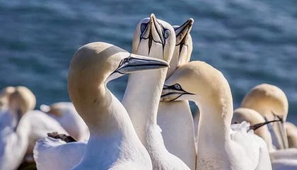 某网红茶室价格虚高,茶品普通