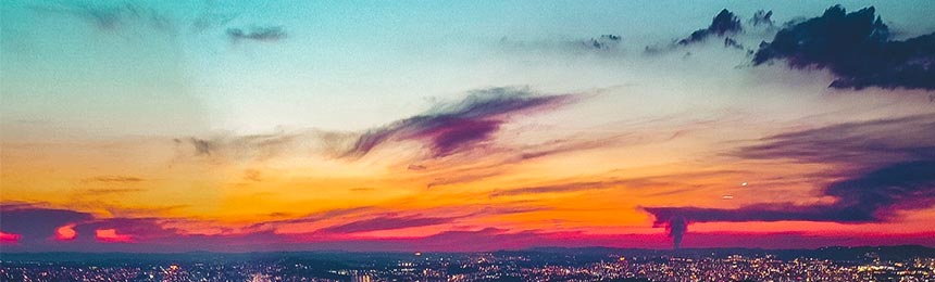 樟树茶虫网_樟树品茶